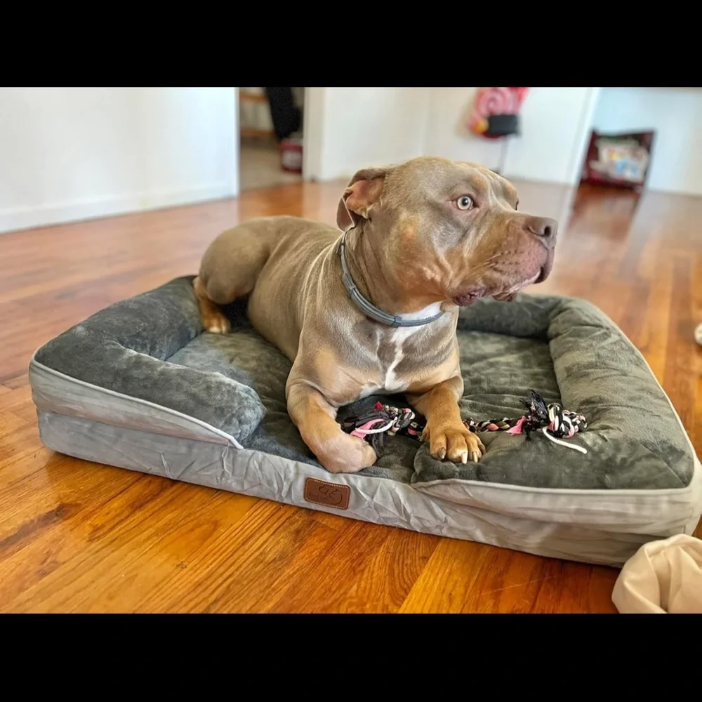 Gray Plush Pet Bed (large)